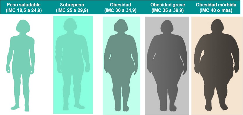 rangos de IMC saludable, sobrepeso, obesidad normal, obesidad grave y obesidad mórbida